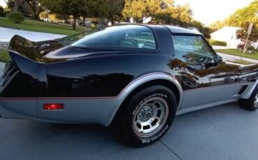 Chevrolet-Corvette-1978-Black-Black-12