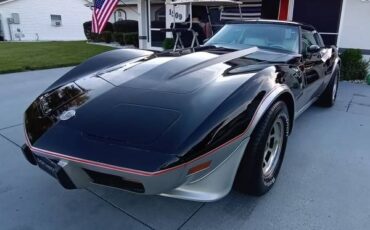 Chevrolet-Corvette-1978-Black-Black-13
