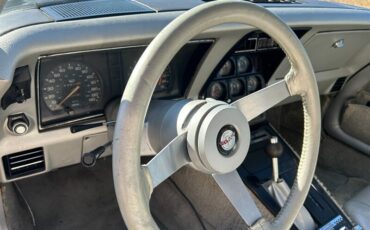 Chevrolet-Corvette-1978-Black-Black-34