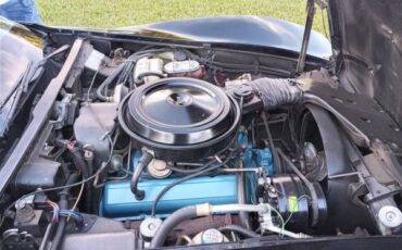 Chevrolet-Corvette-1978-Black-Black-5