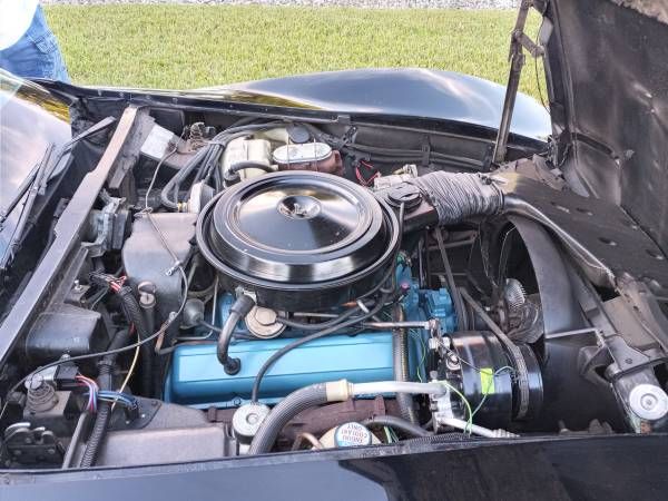 Chevrolet-Corvette-1978-Black-Black-5