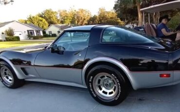 Chevrolet-Corvette-1978-Black-Black-8