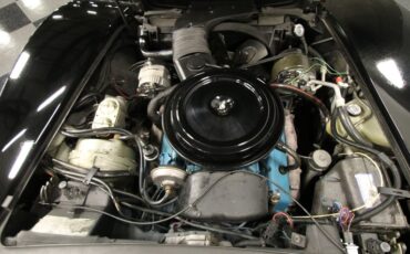 Chevrolet-Corvette-1978-Black-Black-8
