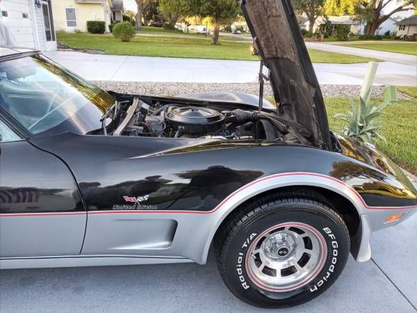 Chevrolet-Corvette-1978-Black-Black-9