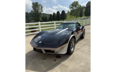 Chevrolet-Corvette-1978-Black-Silver-11