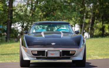 Chevrolet-Corvette-1978-Black-Silver-13