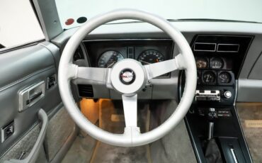 Chevrolet-Corvette-1978-Black-Silver-18