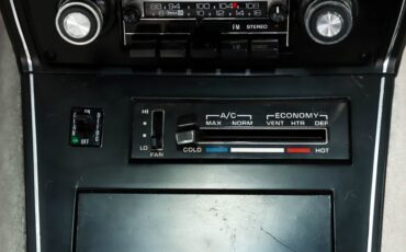Chevrolet-Corvette-1978-Black-Silver-26