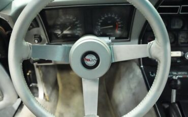 Chevrolet-Corvette-1978-Black-Silver-33