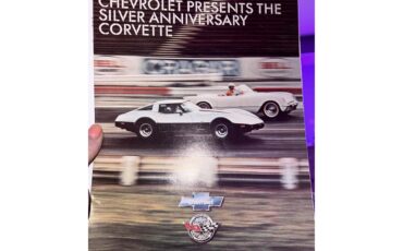 Chevrolet-Corvette-1978-Black-Silver-4