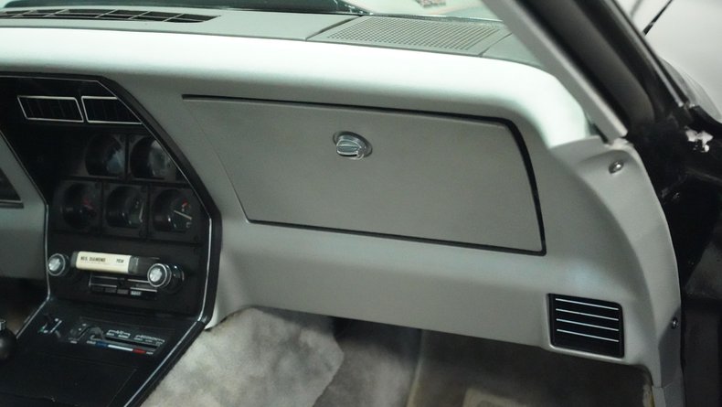 Chevrolet-Corvette-1978-Black-Silver-44