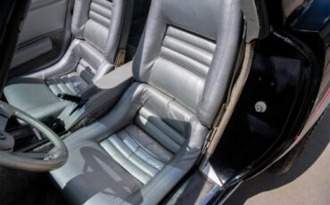 Chevrolet-Corvette-1978-Black-Silver-6