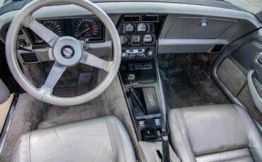 Chevrolet-Corvette-1978-Black-Silver-7