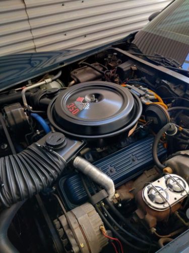 Chevrolet-Corvette-1978-Blue-5