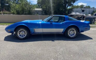 Chevrolet-Corvette-1978-BlueSilver-BlackSilver-Leather-8