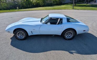 Chevrolet-Corvette-1978-Frost-Blue-Blue-Dark-11