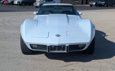 Chevrolet-Corvette-1978-Frost-Blue-Blue-Dark-12