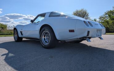Chevrolet-Corvette-1978-Frost-Blue-Blue-Dark-31