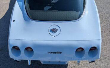 Chevrolet-Corvette-1978-Frost-Blue-Blue-Dark-42