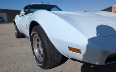 Chevrolet-Corvette-1978-Frost-Blue-Blue-Dark-47