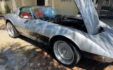 Chevrolet-Corvette-1978-Gray-1