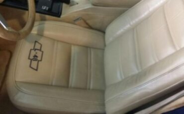 Chevrolet-Corvette-1978-Midnight-Blue-Pearl-Camel-12