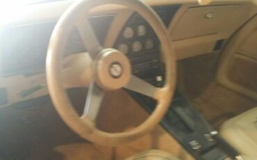 Chevrolet-Corvette-1978-Midnight-Blue-Pearl-Camel-14