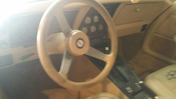 Chevrolet-Corvette-1978-Midnight-Blue-Pearl-Camel-14