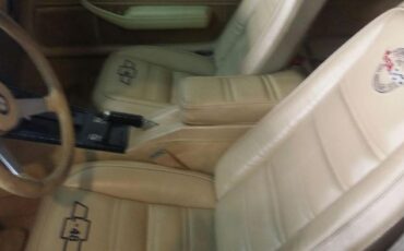 Chevrolet-Corvette-1978-Midnight-Blue-Pearl-Camel-15