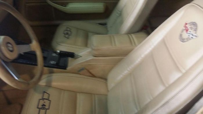 Chevrolet-Corvette-1978-Midnight-Blue-Pearl-Camel-15