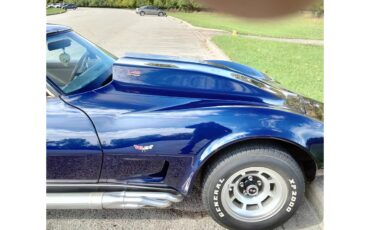 Chevrolet-Corvette-1978-Midnight-Blue-Pearl-Camel-2