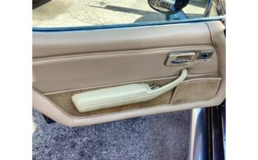 Chevrolet-Corvette-1978-Midnight-Blue-Pearl-Camel-3