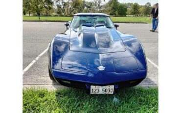 Chevrolet-Corvette-1978-Midnight-Blue-Pearl-Camel-7