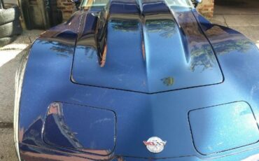 Chevrolet-Corvette-1978-Midnight-Blue-Pearl-Camel-7