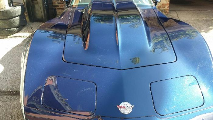 Chevrolet-Corvette-1978-Midnight-Blue-Pearl-Camel-7