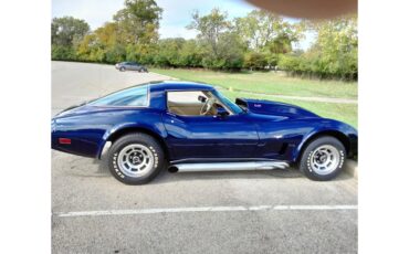 Chevrolet-Corvette-1978-Midnight-Blue-Pearl-Camel-8