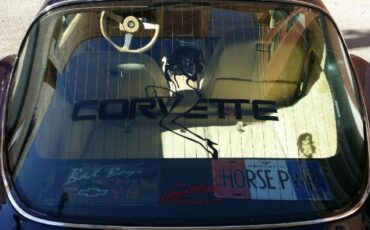 Chevrolet-Corvette-1978-Midnight-Blue-Pearl-Camel-8