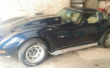 Chevrolet-Corvette-1978-Midnight-Blue-Pearl-Camel-9