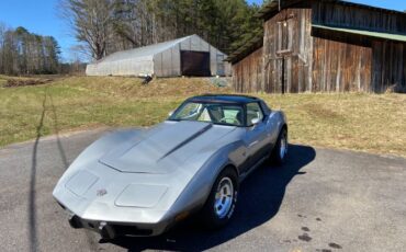 Chevrolet-Corvette-1978-Silver-3