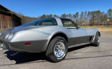 Chevrolet-Corvette-1978-Silver-4