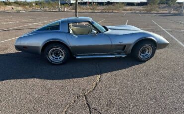 Chevrolet-Corvette-1978-Silver-4