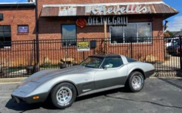 Chevrolet-Corvette-1978-Silver-5