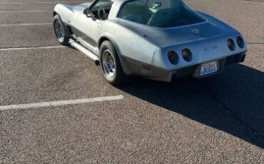 Chevrolet-Corvette-1978-Silver-7