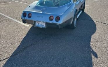 Chevrolet-Corvette-1978-Silver-8