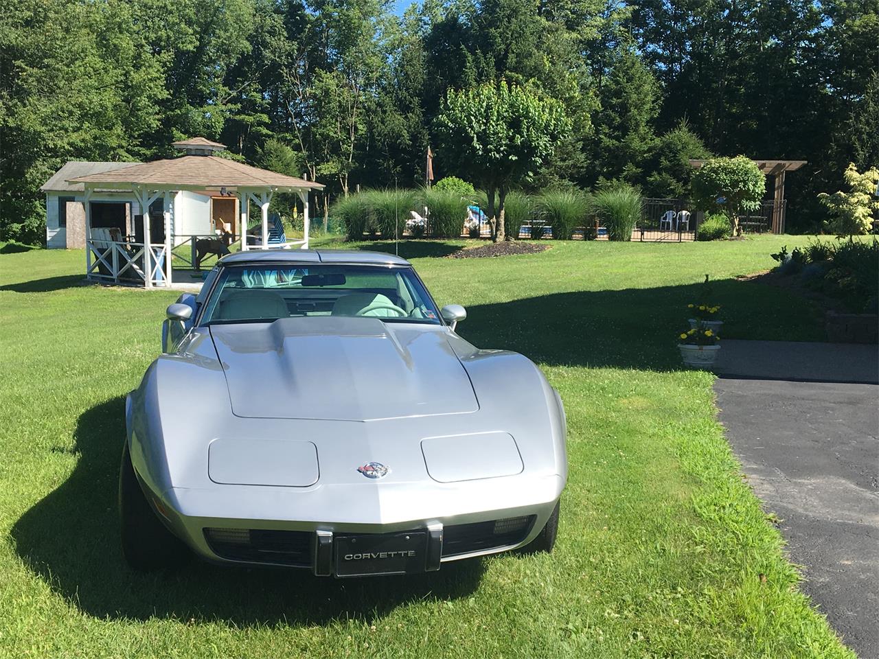 Chevrolet-Corvette-1978-Silver-Anniversary-Oyster-1