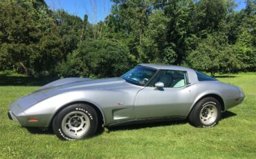 Chevrolet-Corvette-1978-Silver-Anniversary-Oyster-2