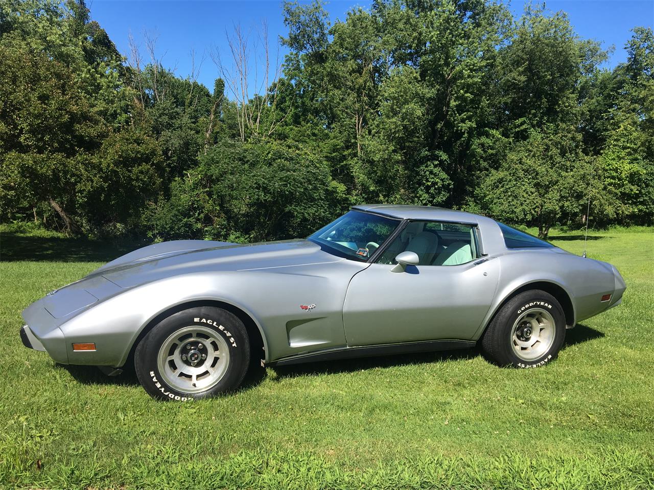 Chevrolet-Corvette-1978-Silver-Anniversary-Oyster-2