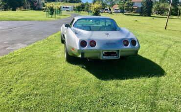 Chevrolet-Corvette-1978-Silver-Anniversary-Oyster-3