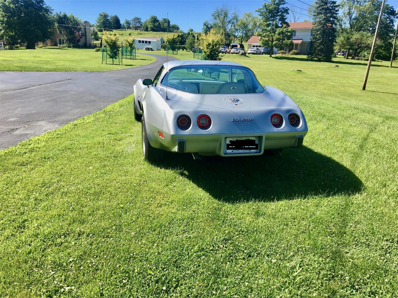 Chevrolet-Corvette-1978-Silver-Anniversary-Oyster-3