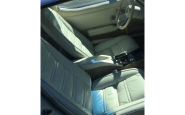 Chevrolet-Corvette-1978-Silver-Anniversary-Oyster-5